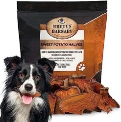 BRUTUS & BARNABY Thick Cut Sweet Potato Dog Treat Full Slices - Single Ingredient Dried Sweet Potato Dog Treats - Vegan Low Fat All Natural Dog Treats - Healthy Dog Treats With No Added Preservatives -Zoomie Shop 51xWWKxunKL. AC