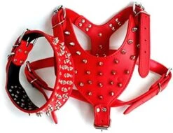 DOILNXH Spiked Studded Dog Collar And Harness Set 7 Colors Leather Collars And Harnesses For Medium Large Dogs Pitbull Mastiff Camouflage Large -Zoomie Shop 51xZPWMVSL. AC