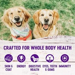 Wellness Dog Food And Treats Trial Bundle: Complete Health Dry Food, Whitefish 5lb & Rewarding Life Soft Treats, Lamb And Salmon -Zoomie Shop 51xhsw5wjOL