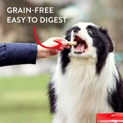 Stella & Chewy’s Freeze-Dried Raw Wild Weenies Dog Treats – All-Natural, Protein Rich, Grain Free Dog & Puppy Treat – Great For Training & Rewarding – Game Bird Recipe – 3.25 Oz Bag 9 Stella & Chewy’s Freeze-Dried Raw Wild Weenies Dog Treats – All-Natural, Protein Rich, Grain Free Dog & Puppy Treat – Great For Training & Rewarding – Game Bird Recipe – 3.25 Oz Bag -Zoomie Shop 51xpkDTOwSL