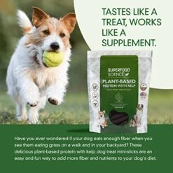 Superfood Science-Plant Based Dog Treats With Sweet Potato, Chia, Flaxseed, And Coconut Oil For Healthy Skin And Coat, Natural, Gluten Free Vegetarian Hypoallergenic, Protein Dog Training Treats 5 Oz 9 Superfood Science-Plant Based Dog Treats With Sweet Potato, Chia, Flaxseed, And Coconut Oil For Healthy Skin And Coat, Natural, Gluten Free Vegetarian Hypoallergenic, Protein Dog Training Treats 5 Oz -Zoomie Shop 51xrX8xw8cL