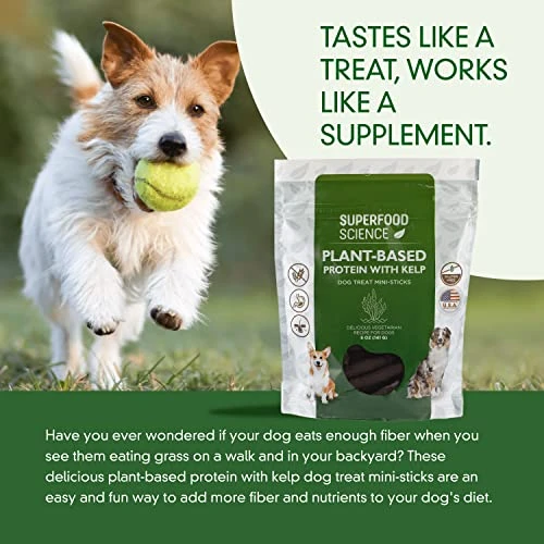 Superfood Science-Plant Based Dog Treats With Sweet Potato, Chia, Flaxseed, And Coconut Oil For Healthy Skin And Coat, Natural, Gluten Free Vegetarian Hypoallergenic, Protein Dog Training Treats 5 Oz 5 Superfood Science-Plant Based Dog Treats With Sweet Potato, Chia, Flaxseed, And Coconut Oil For Healthy Skin And Coat, Natural, Gluten Free Vegetarian Hypoallergenic, Protein Dog Training Treats 5 Oz - Image 5