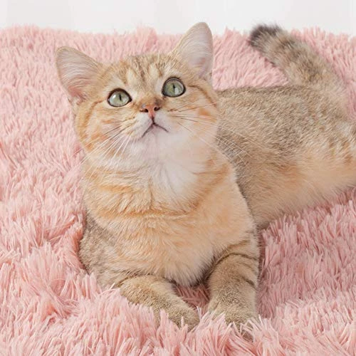 SONGBIRDTH Pet Bed,Winter Warm Small/Medium Puppy Cats Dogs Carpet Fluffy Plush Pet Soft Blanket,Breathable Cotton Blend,Removable Easy To Clean Light Grey M 2 SONGBIRDTH Pet Bed,Winter Warm Small/Medium Puppy Cats Dogs Carpet Fluffy Plush Pet Soft Blanket,Breathable Cotton Blend,Removable Easy To Clean Light Grey M - Image 2