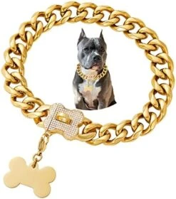 Girl Boy Cute Gold Chain Metal Dog Collar, Steel Heavy Duty Strong Dog Necklace With Magnet Buckle -Zoomie Shop 51yOhAvbslL. AC