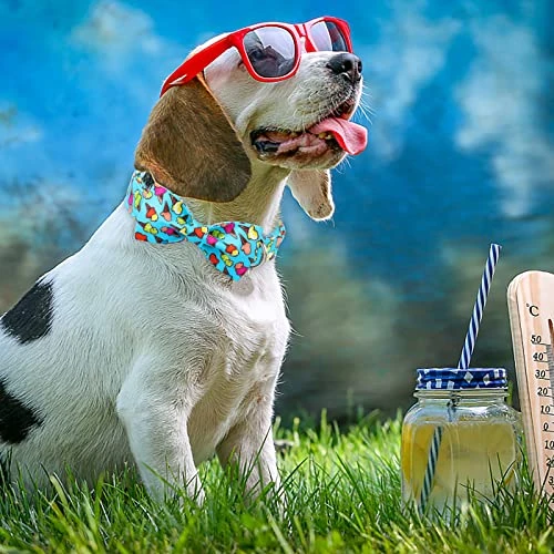 UP URARA PUP Summer Dog Collar With Bow Tie, Cotton Cute Bowtie Dog Collar, Summer Bowtie Collar For Small Boy Girl Dog, Comfortable Blue Dog Collar With Metal Buckle, S, Neck 10-16in 5 UP URARA PUP Summer Dog Collar With Bow Tie, Cotton Cute Bowtie Dog Collar, Summer Bowtie Collar For Small Boy Girl Dog, Comfortable Blue Dog Collar With Metal Buckle, S, Neck 10-16in - Image 5