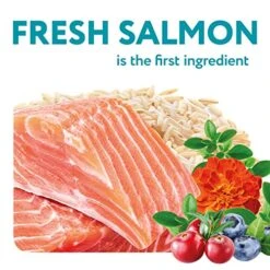 OPtimeal Dry Dog Food For Toy Breeds - Proudly Ukrainian - Tasty Dog Food Dry Recipe With Skin And Digestive Support For Adult Small And Toy Breed Dogs (3.3 Pound (Pack Of 1), Salmon & Brown Rice) -Zoomie Shop 51yTXHK3OnL