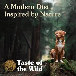 Taste Of The Wild Grain Free Real Meat Recipe Premium Wet Canned Stew Dog Food (12) 13.2 Oz. Cans -Zoomie Shop 51yecZPZmKL 3