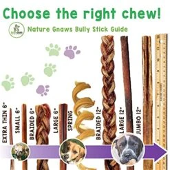 Nature Gnaws Bully Sticks For Dogs - Premium Natural Beef Dental Bones - Long Lasting Dog Chew Treats For Aggressive Chewers - Rawhide Free - Mixed Thickness 8 Ounce (Pack Of 1)