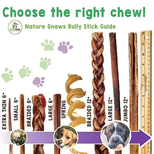 Nature Gnaws Bully Sticks For Dogs - Premium Natural Beef Dental Bones - Long Lasting Dog Chew Treats For Aggressive Chewers - Rawhide Free - Mixed Thickness 8 Ounce (Pack Of 1) 1 Nature Gnaws Bully Sticks For Dogs - Premium Natural Beef Dental Bones - Long Lasting Dog Chew Treats For Aggressive Chewers - Rawhide Free - Mixed Thickness 8 Ounce (Pack Of 1)