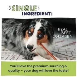 Pawstruck All Natural 5-6" Roasted Collagen Sticks For Dogs - Grain-Free Long Lasting Alternative To Traditional Rawhide & Bully Stick Chews - Low Odor, Single Ingredient & Vet Approved - 10 Pack -Zoomie Shop 51z9ttJliGL