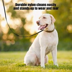 30 Pieces Slip Leads Dog Leash Pet Rope Strong Pulling Kennel Leads With O-Ring Durable For Dogs Walking Training (Neon Green, Orange, Yellow, Blue, Red, Black) -Zoomie Shop 51zahsf2G2L