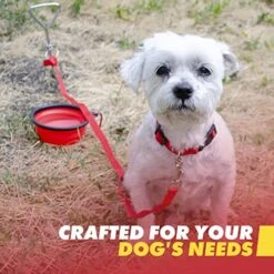 Emergency Zone - Small Dog Emergency Survival Kit - Bug Out, Emergency, Travel Kits, First Aid - Basic -Zoomie Shop 51zgV4FYbjL