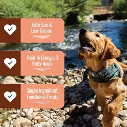 Smart Cookie Freeze Dried Salmon Bites - Single Ingredient Freeze Dried Salmon Treats For Dogs - Wild Caught Alaskan Salmon Dog Training Treats & Dog Food Topper - Made In USA - 2oz Bag, 3 Pack -Zoomie Shop 51zriRiM4uL