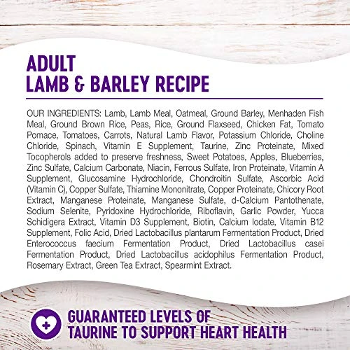 Wellness Complete Health Dry Dog Food With Grains, Made In USA With Real Meat & Natural Ingredients, All Breeds, Adult Dogs (Lamb & Barley, 30-lb) – With Nutrients For Immune, Skin, & Coat Support 4 Wellness Complete Health Dry Dog Food With Grains, Made In USA With Real Meat & Natural Ingredients, All Breeds, Adult Dogs (Lamb & Barley, 30-lb) – With Nutrients For Immune, Skin, & Coat Support - Image 4