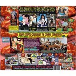GENTLE GIANTS World Class Canine Nutrition Dog And Puppy Food W/Real Beef And Real Bacon - 24lbs 11 GENTLE GIANTS World Class Canine Nutrition Dog And Puppy Food W/Real Beef And Real Bacon - 24lbs -Zoomie Shop 610wZO65DrL