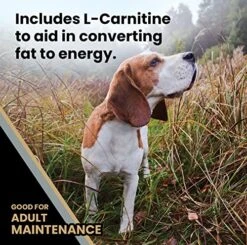 Victor Super Premium Dog Food – Purpose - Senior Healthy Weight – Gluten Free Weight Management Dry Dog Food For Senior Dogs With Glucosamine And Chondroitin, For Hip And Joint Health, 40lbs -Zoomie Shop 611mHQMITrL