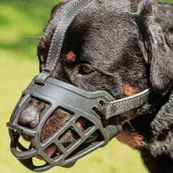 Dog Muzzle,Soft Basket Silicone Muzzles For Dog, Best To Prevent Biting, Chewing And Barking, Allows Drinking And Panting, Used With Collar 20 Dog Muzzle,Soft Basket Silicone Muzzles For Dog, Best To Prevent Biting, Chewing And Barking, Allows Drinking And Panting, Used With Collar -Zoomie Shop 618szfEoHfL. AC