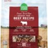 Open Farm Freeze Dried Raw Dog Food, Humanely Raised Meat Recipe With Non-GMO Superfoods And No Artificial Flavors Or Preservatives, Grass Fed Beef Recipe Freeze Dried - 22oz