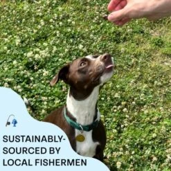 Chippin Wild-Caught Fish Jerky | Natural Dog Training Treats And Toy Stuffer | Grain-Free, Hypoallergenic & Human-Grade Protein | Puppies & Senior Dogs | Low Fat, Skin & Coat Support -Zoomie Shop 61EGeqpr2QL