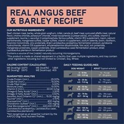 CANIDAE Pure Real Beef & Barley Recipe Adult Dry Dog 4 LB -Zoomie Shop 61GL4ahAt7L