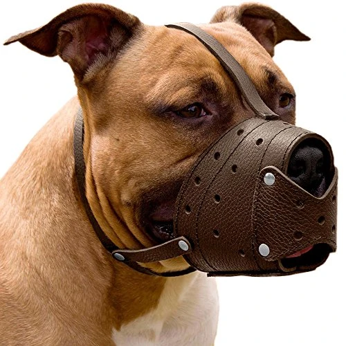 CollarDirect Leather Basket Dog Muzzle For German Shepherd Staffordshire Terrier Pitbull Medium Large Breeds Training, Anti-Barking, Biting, Chewing (Brown) 4 CollarDirect Leather Basket Dog Muzzle For German Shepherd Staffordshire Terrier Pitbull Medium Large Breeds Training, Anti-Barking, Biting, Chewing (Brown) - Image 4