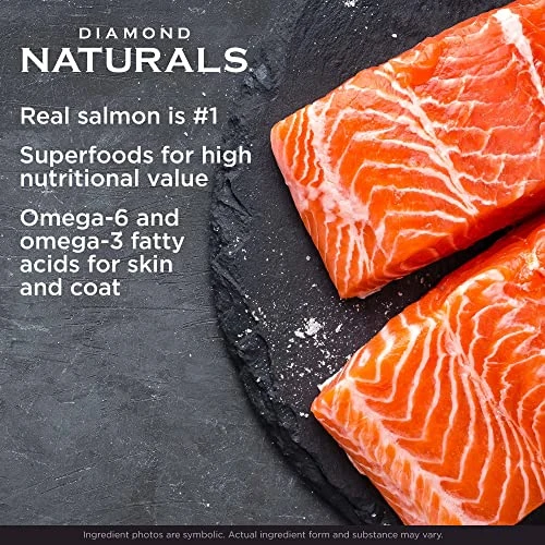 DIAMOND NATURALS Skin & Coat Real Meat Recipe Dry Dog Food With Wild Caught Salmon 15lb (9422_15_DND) 3 DIAMOND NATURALS Skin & Coat Real Meat Recipe Dry Dog Food With Wild Caught Salmon 15lb (9422_15_DND) - Image 3