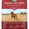 Open Farm Ancient Grains Dry Dog Food, Humanely Raised Meat Recipe With Wholesome Grains And No Artificial Flavors Or Preservatives (Grass-Fed Beef Ancient Grain, 4 Pound (Pack Of 1))