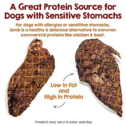 Riley's Premium Dehydrated Lamb Lung Dog Treats - Sourced In USA, Made In USA - Air Dried Crunchy & Delicious Lamb Dog Treats - 6 Oz 7 Riley's Premium Dehydrated Lamb Lung Dog Treats - Sourced In USA, Made In USA - Air Dried Crunchy & Delicious Lamb Dog Treats - 6 Oz -Zoomie Shop 61Zwn86reWL