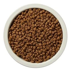 Amazon Brand - Wag Grain Free Dry Dog Food For Puppies, Chicken & Lentil Recipe (15 Lb. Bag) -Zoomie Shop 61ccMBDQxSL