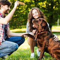 Peace Love N Paws Himalayan Yak Cheese Dog Chews - For Small Dogs - All Natural |High Protein | Long Lasting | Vegetarian Dog Bones (Small 10 Sticks (<20 Lbs Dogs)) -Zoomie Shop 61dS5WQnRkS