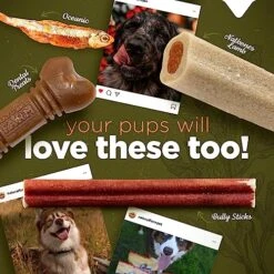 Natural Farm Whole Anchovies Dog Treats (3.5 Oz, 100g), All Natural Air Dried Fish Treats For Dogs, Sustainably Sourced Fish, 1 Ingredient - Anchovies, Collagen, Omega 3s For A Shiny Coat -Zoomie Shop 61ezULbwgdL