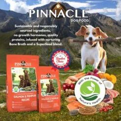 Pinnacle Salmon & Pumpkin Dry Dog Food 4 Lb, Infused With Broth -Zoomie Shop 61fNMtW683L