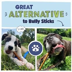 Pawstruck All Natural 5-6" Roasted Collagen Sticks For Dogs - Grain-Free Long Lasting Alternative To Traditional Rawhide & Bully Stick Chews - Low Odor, Single Ingredient & Vet Approved - 10 Pack -Zoomie Shop 61h7uzEXlPL