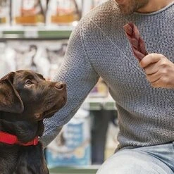 Jack&Pup 6" Braided Beef Collagen Sticks For Dogs - Rawhide Free Dog Chews Long Lasting Collagen Chews For Dogs - Bully Sticks Alternative (8 Pack) 9 Jack&Pup 6" Braided Beef Collagen Sticks For Dogs - Rawhide Free Dog Chews Long Lasting Collagen Chews For Dogs - Bully Sticks Alternative (8 Pack) -Zoomie Shop 61jbYiksoBL