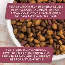 Rachael Ray Nutrish Little Bites Dry Dog Food, Chicken & Veggies Recipe For Small Breeds, 14 Pound Bag -Zoomie Shop 61l5PjT5LOL