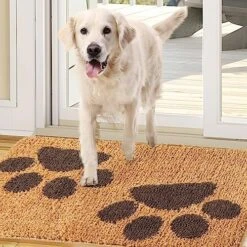 Indoor Door Mat 23.5" X 35.5", Dog Door Mat For Muddy Wet Paws And Shoes, Non-Slip, Absorbent, Dirt Resist Mat, Machine Washable Entrance Rug Low-Profile Inside Entry Doormats For Entryway, Grey 19 Indoor Door Mat 23.5" X 35.5", Dog Door Mat For Muddy Wet Paws And Shoes, Non-Slip, Absorbent, Dirt Resist Mat, Machine Washable Entrance Rug Low-Profile Inside Entry Doormats For Entryway, Grey -Zoomie Shop 61nQtX8GnpL. AC 2
