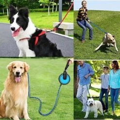 LLHGTHG Dog Leash, Nylon Rope Thick And Durable Leash For Medium And Large Dogs With Collapsible Pet Bowl, Leash, Dispenser Waste Bag And Dog Collar Set. (Blue) -Zoomie Shop 61utaePcZsL