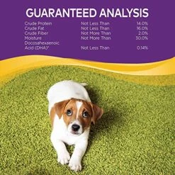 Wellness Natural Pet Food Grain Free Puppy Training Treats, 2 Pack -Zoomie Shop 61vzKUMXUPL