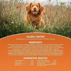 Annamaet Original Puppy Dry Dog Food, (Chicken & Brown Rice), 12-lb Bag 10 Annamaet Original Puppy Dry Dog Food, (Chicken & Brown Rice), 12-lb Bag -Zoomie Shop 61x3I3ZVeKL