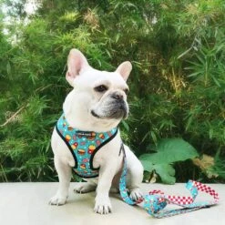 Luna Paws Dual Sided Leash (Fast Food Fun) -Zoomie Shop 71cufYVNMJL