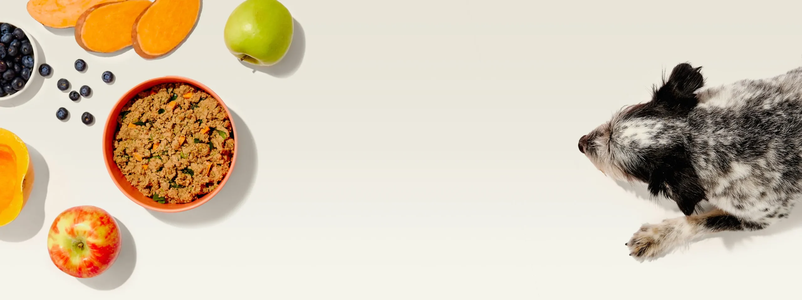 Zoomie Shop -Zoomie Shop tai xuong 2 scaled